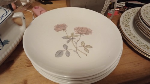 Wedgewood flame rose plates - flame, x6