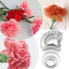 Carnation Flower Mold Cookie