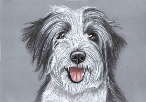 Original colour pencil - , artwork
