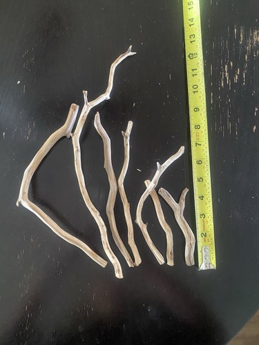 New hand sanded manzanita - hand,