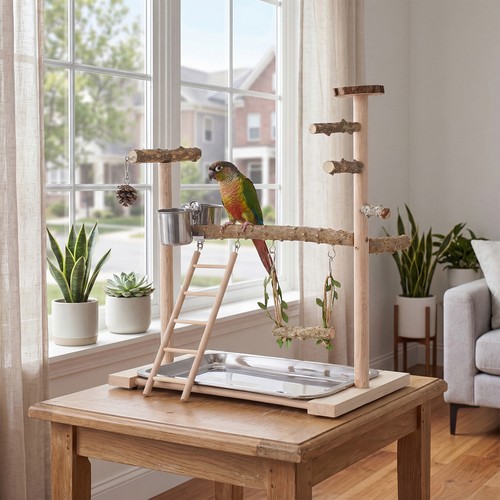 Parrot playstand bird - playstand,