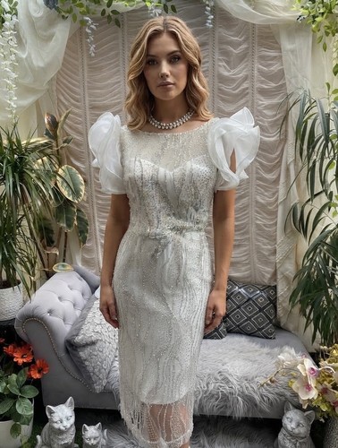 Ladies dress couture shimmery - dress,