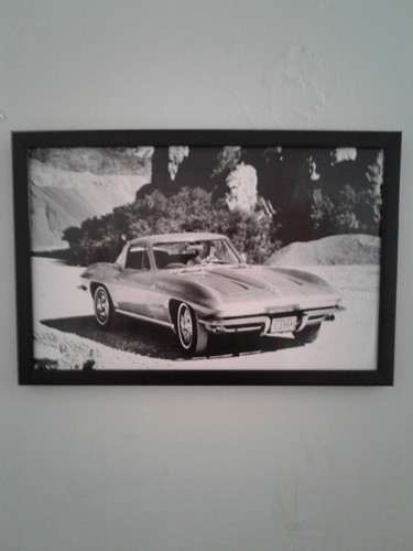 Chevrolet corvette stingray - chevrolet,