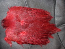 Guinea Fowl Fly Tying Feathers complete skin