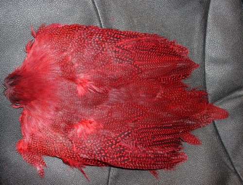 Guinea fowl fly tying feathers - fowl,