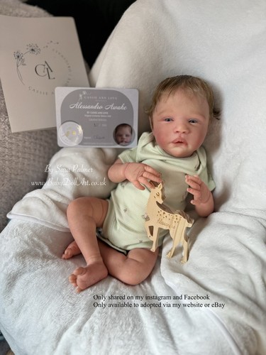 Reborn baby boy doll - boy,