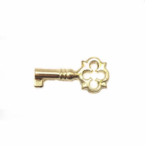 Spare brass gold small key - gold,