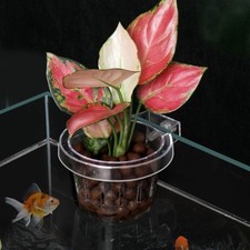 Wall Mounted Fish Tank Grass