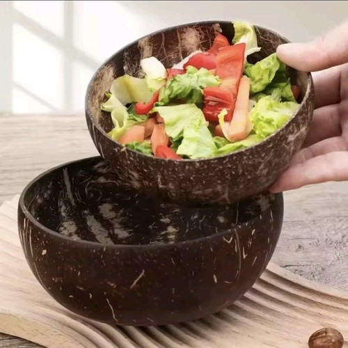 Natural coconut shell - shell, bowls