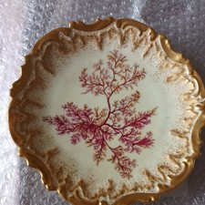 Limoges Purple fern Porcelain