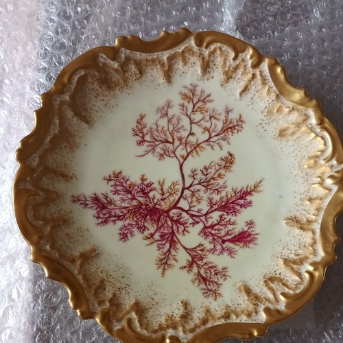 Limoges purple fern porcelain - fern,