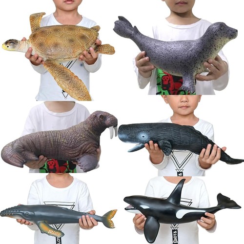 Ocean animals large size - ocean,