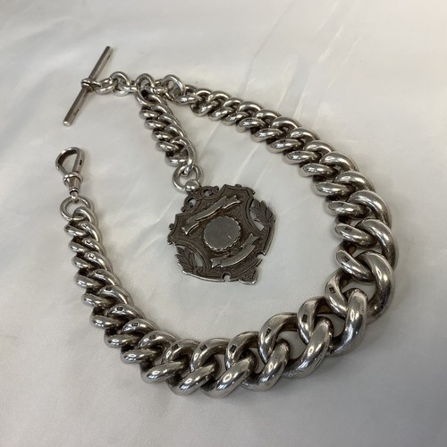 Albert chain rare - chain,