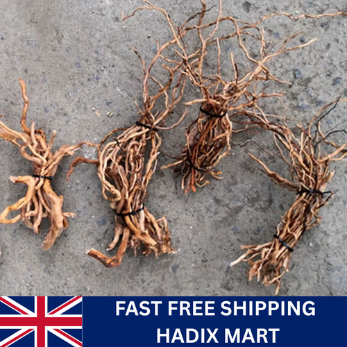 Aquarium natural driftwood - natural,
