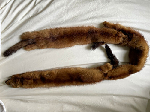 1930s mink stole taxidermy - ,