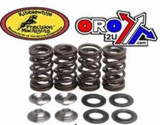 VALVE SPRING KIT ROTAX 500/600, KIBBLEWHITE 91-9400 AIR COOLED