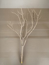 Sand Blasted Manzanita
