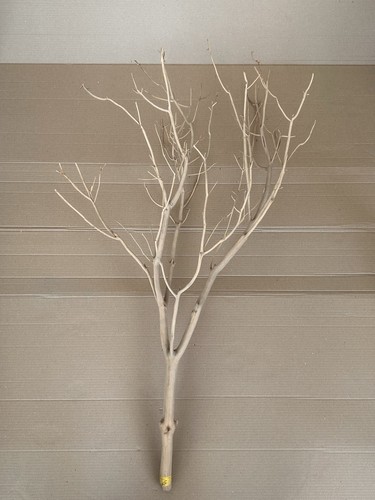 Sand blasted manzanita - sand,