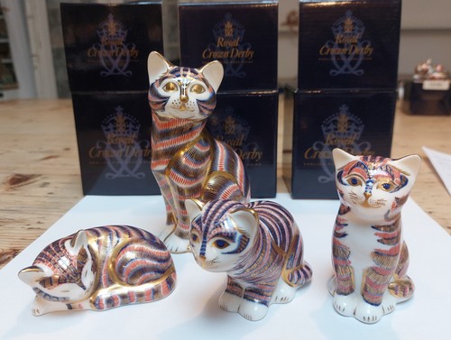 Royal crown derby imari - imari, cat