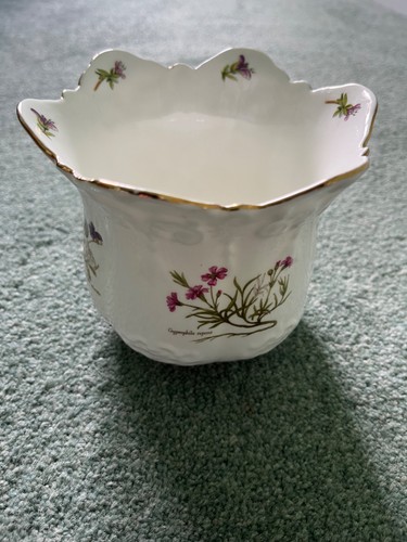 Brosnic bone china victoriana - brosnic,