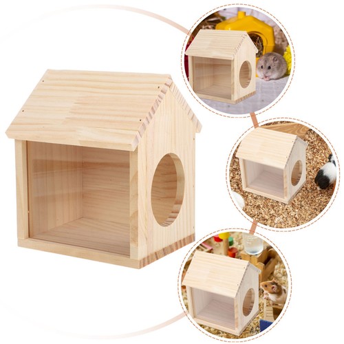 Guinea pig loft - pig,