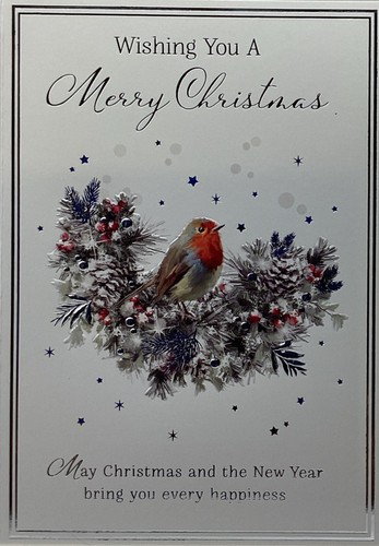 Open christmas card robin - open,