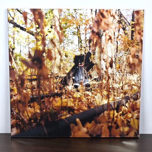 Billy woods golliwog limited - billy,