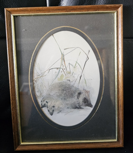 Mads stage hedgehog print - mads,