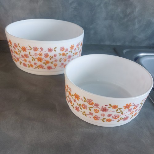 Vintage french arcopal - ,
