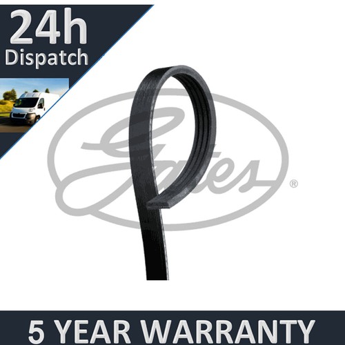 Gates ribbed belts for - v-ribbed,