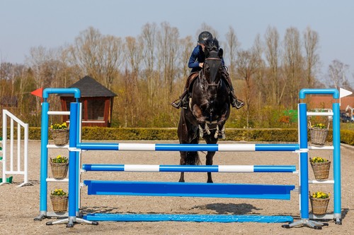 Water tray 5m show - tray, jump