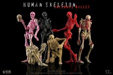 Keep Going 1/12 Articulated