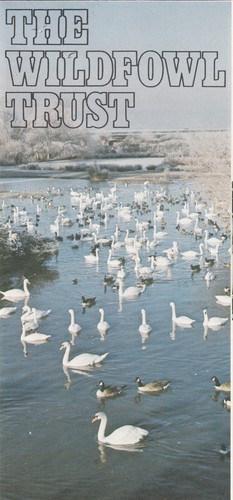 Leaflet wildfowl trust - leaflet, c