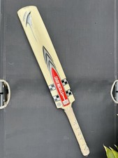 Gray Nicolls Oblivion 294