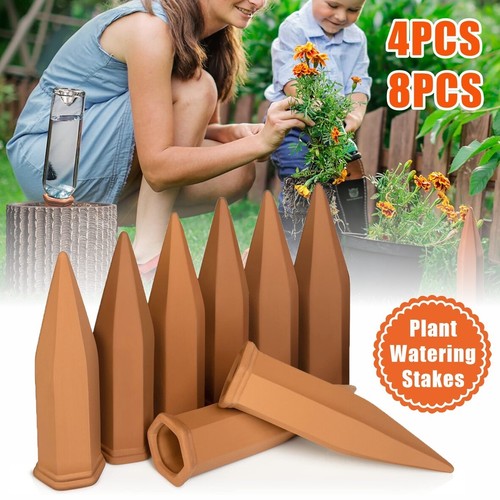 Pack terracotta plant - 4/8,