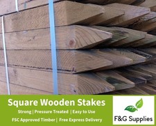 10 x 60cm (2ft) tall 45mm wide