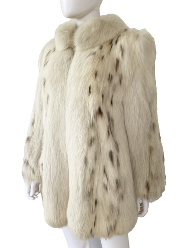 Real blush fox - fox, with