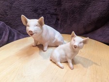 Vintage Aynsley Ceramic Piggy