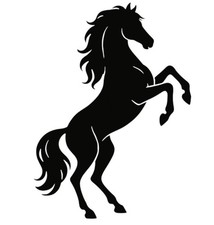Rearing Horse Vinyl Sticker