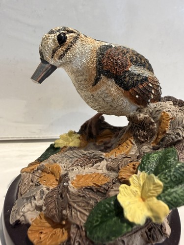 Country bird collection - country, the