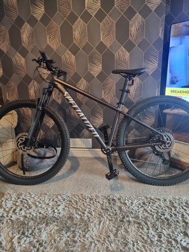 Specialized rockhopper - specialized,