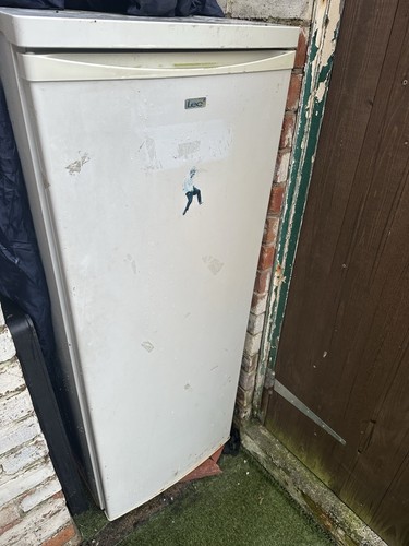Beko tall larder fridge white - beko,