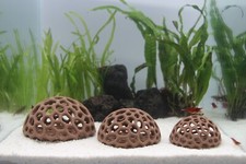 Shrimp Dome Shelter Aquarium