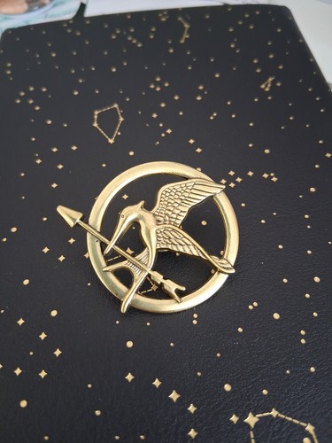 Hunger games mocking - hunger,