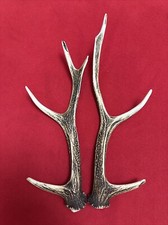 PAIR OF SIKA DEER ANTLERS