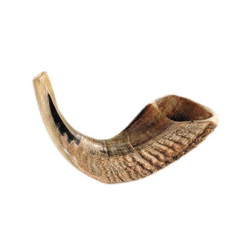 Holy land gifts ram - holy, horn
