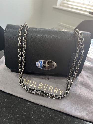 Mulberry lily medium - lily,