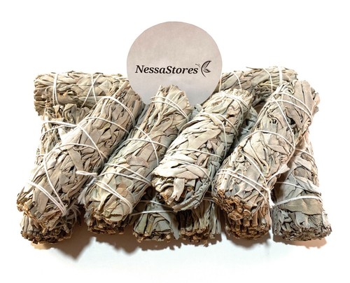 Nessastores white sage - sage, smudge