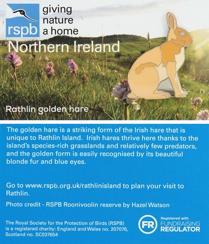 Rspb pin badge - gnah, ni