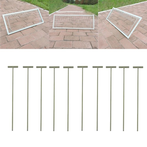 10x pigeon birds entrance - 10x,